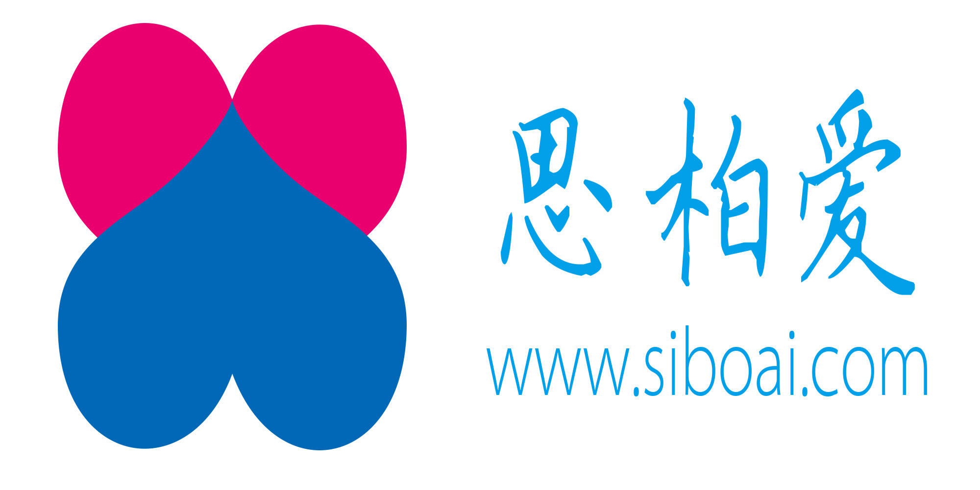 武汉思柏爱信息科技有限公司