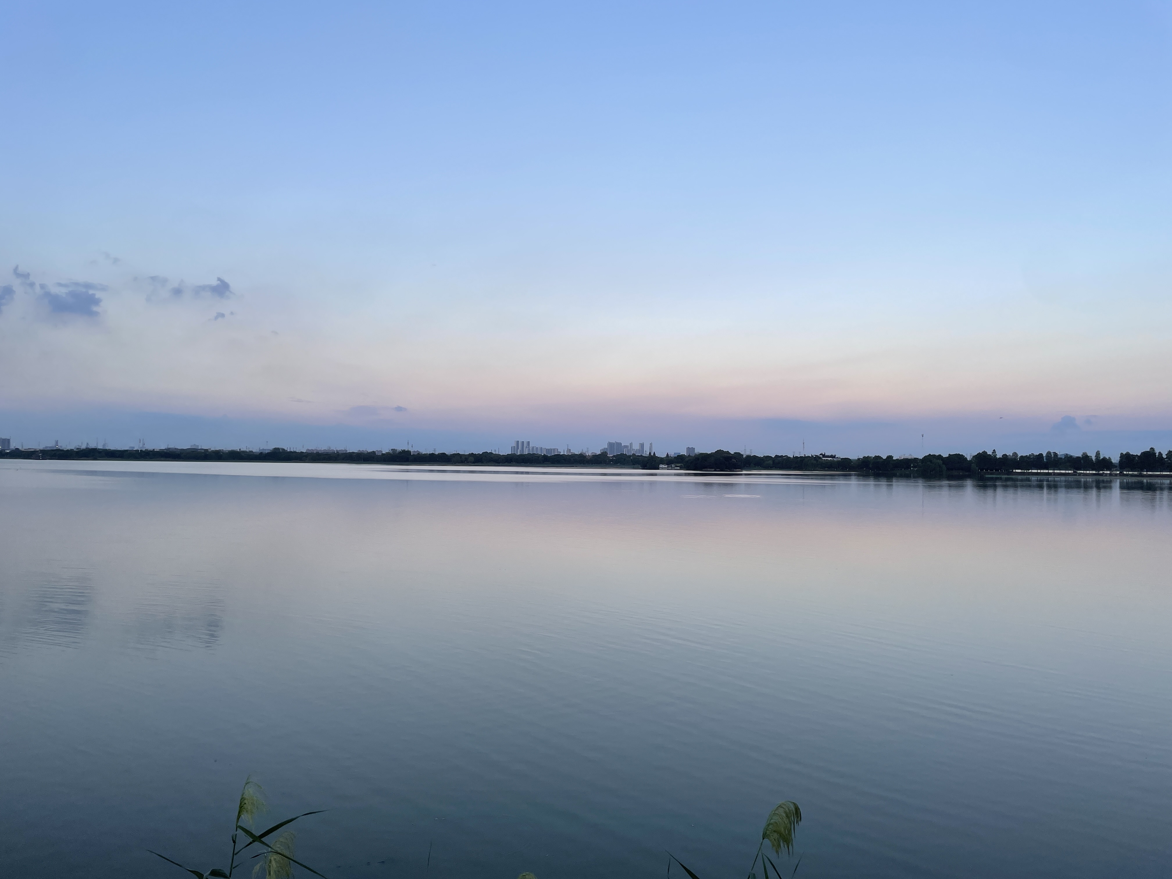东湖风光
