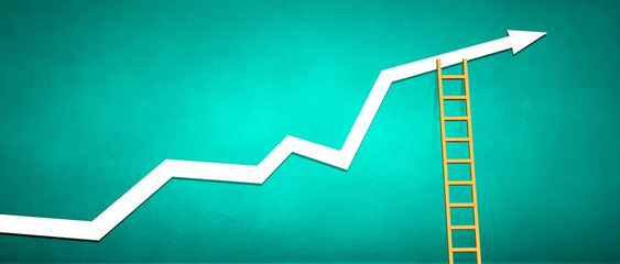 公司的发展方向